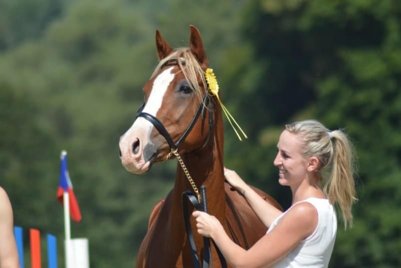 Anežka a Rico, 1. místo na výstavě welsh part bred